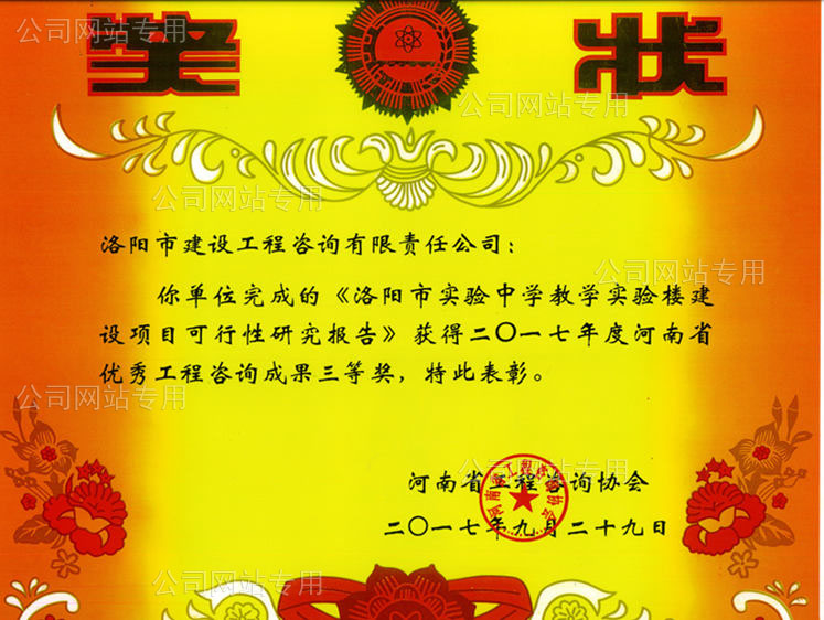 咨詢(xún)成果獎.jpg